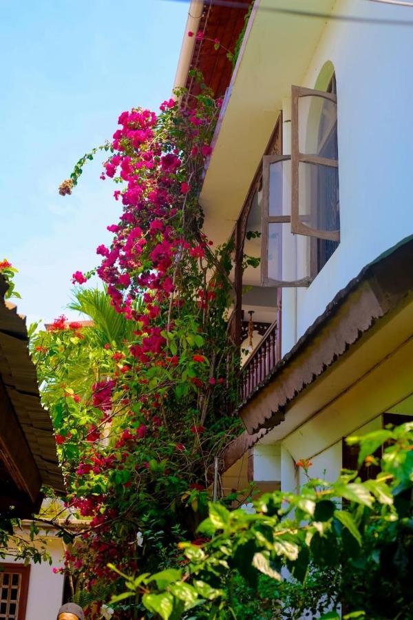 Garden Lodge Sansibar Exterior foto